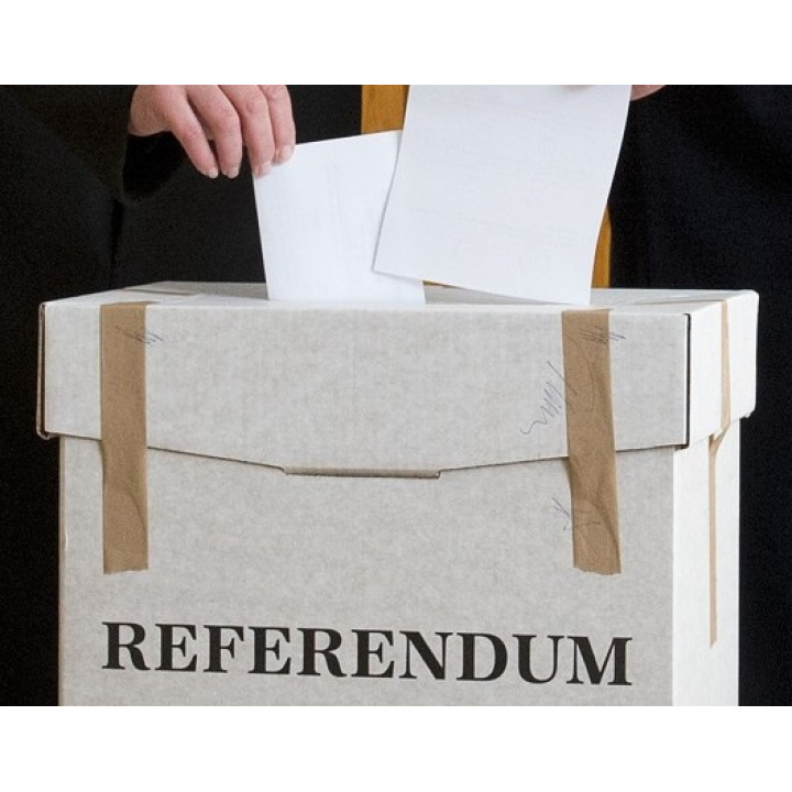 Referendum
